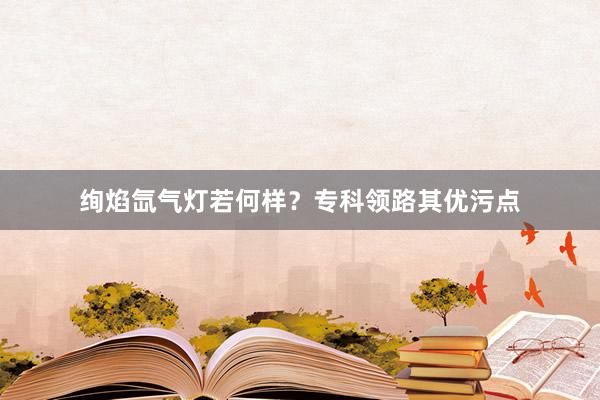 绚焰氙气灯若何样？专科领路其优污点